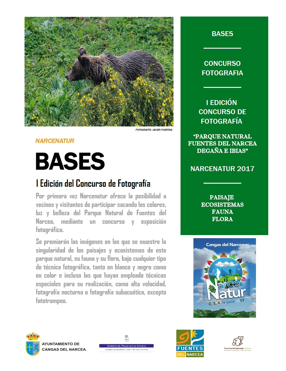 Bases 1