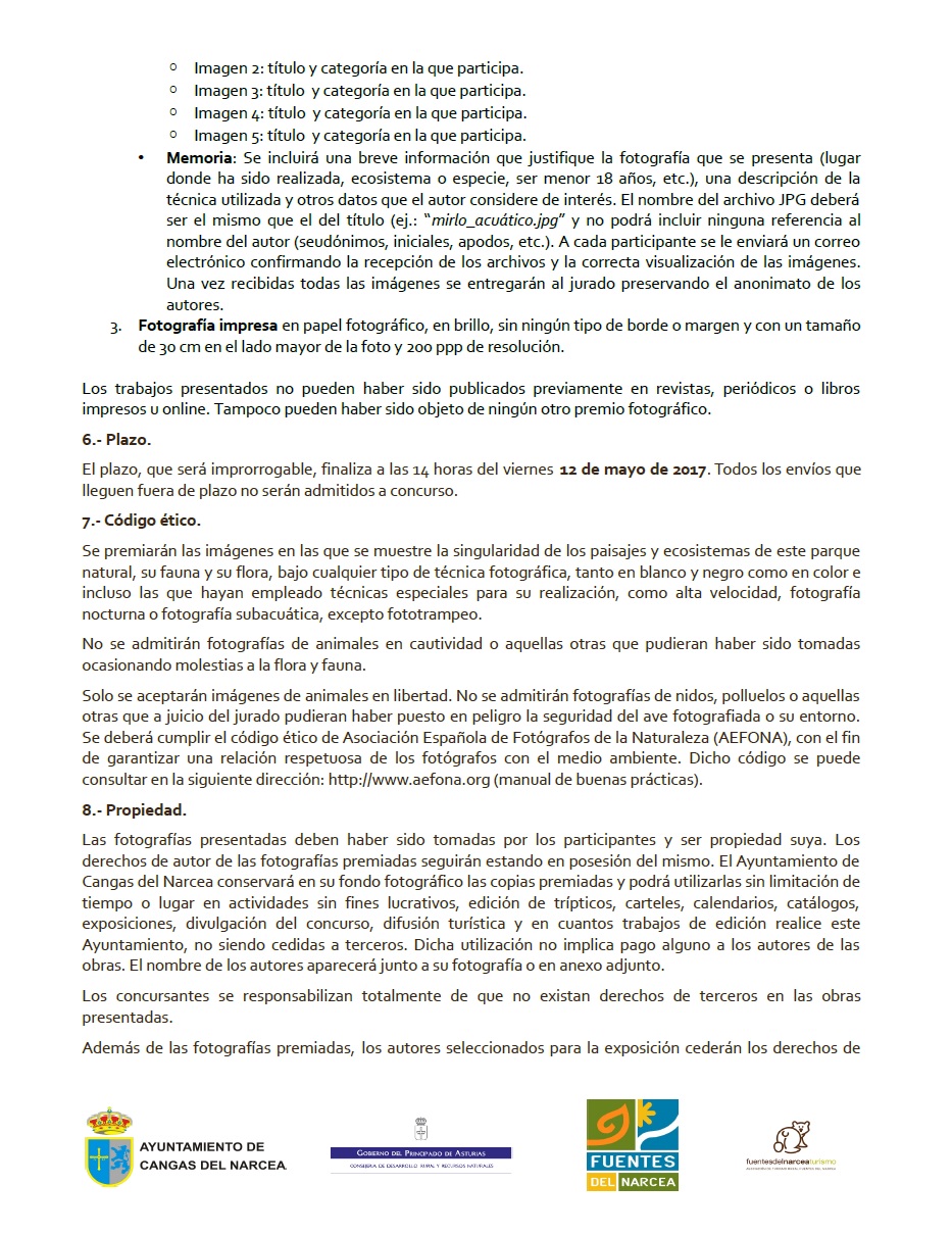 Bases 3