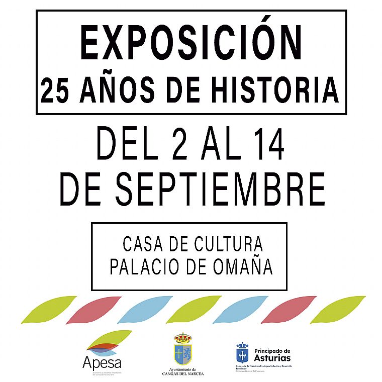Cartel EXPOSICIN 25 ANIVERSARIO APESA