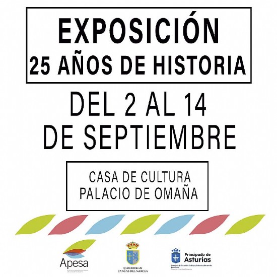 Cartel EXPOSICIN 25 ANIVERSARIO APESA