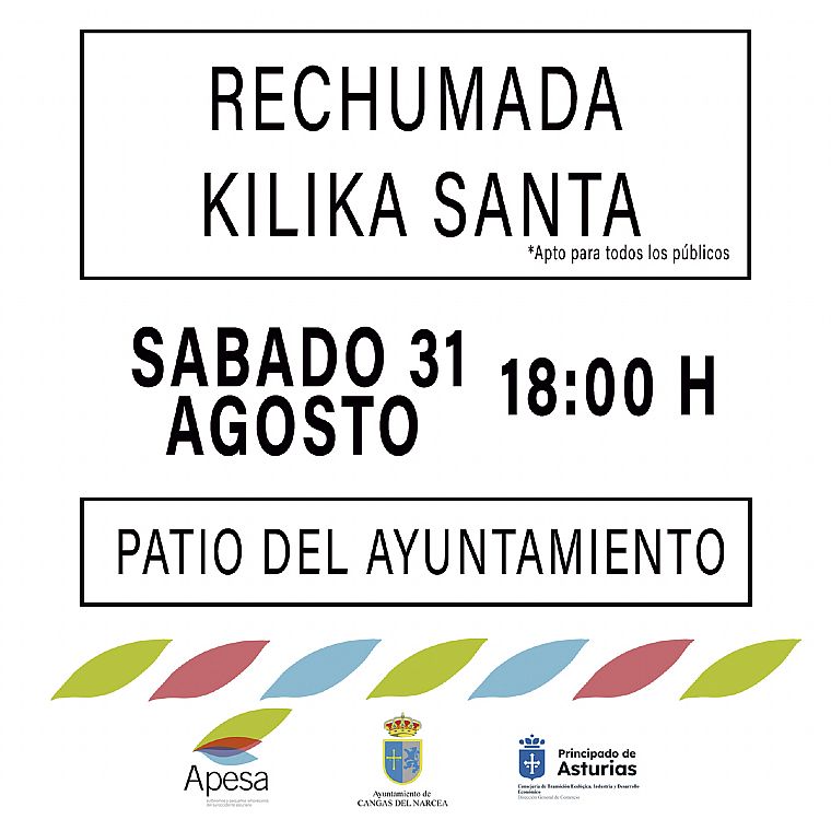 Cartel GALA 25 ANIVERSARIO APESA