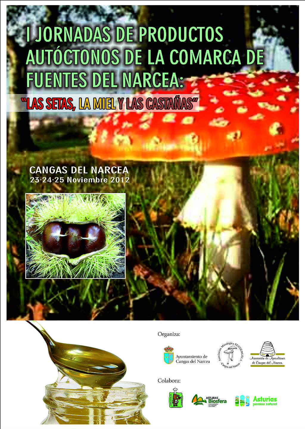 Cartel de las Jornadas