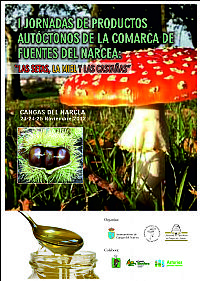 Cartel de las Jornadas