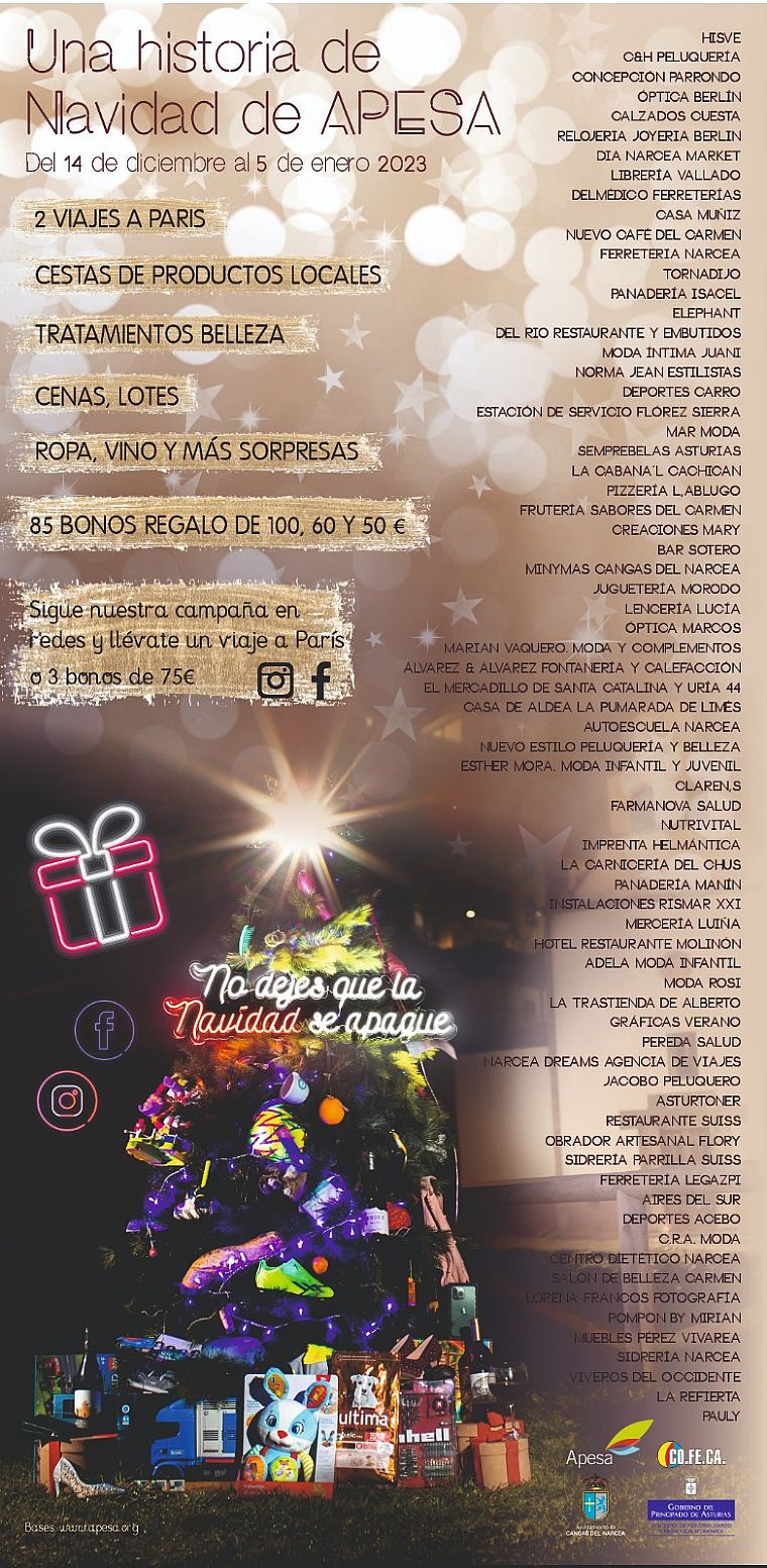 Campaa Navidad APESA 2022-2023