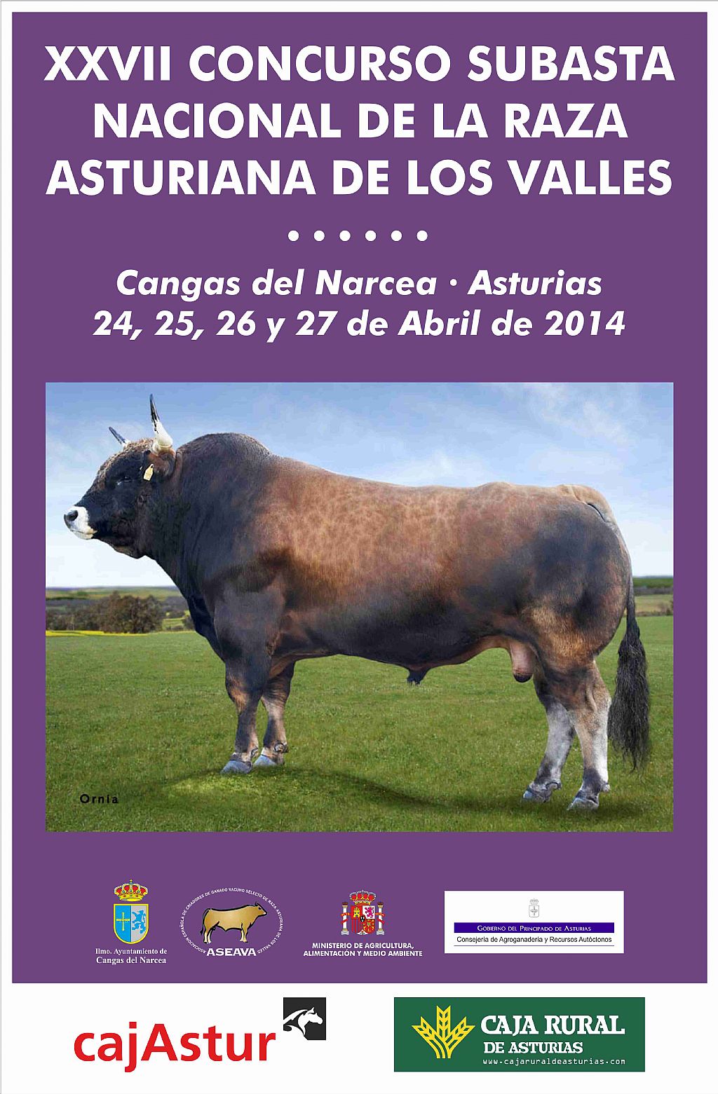 Cartel Subasta