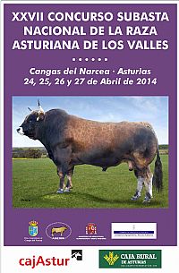 Cartel Subasta