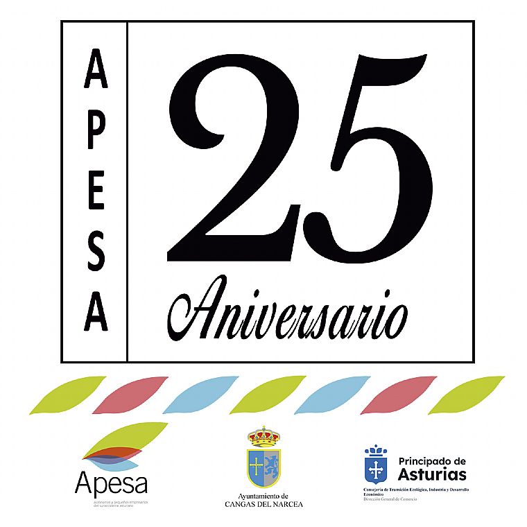 Cartel 25 ANIVERSARIO APESA