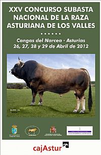 Cartel Concurso Subasta