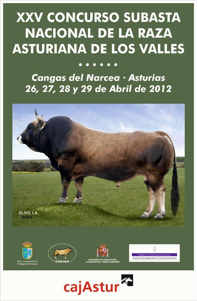 Cartel Concurso Subasta