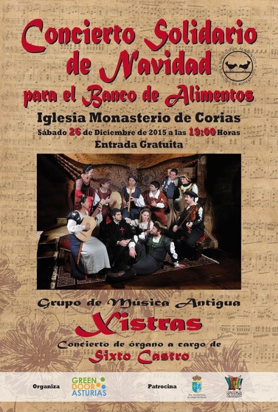 Cartel Concierto Solidario