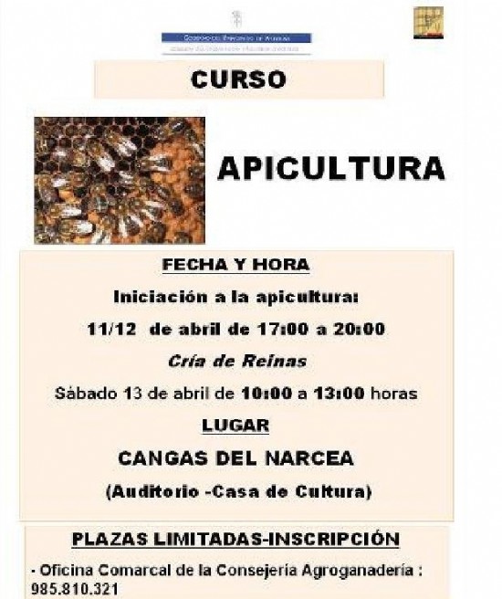 Informacin curso