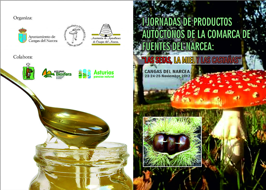 Dptico de las Jornadas. Cara 1