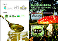 Dptico de las Jornadas. Cara 1