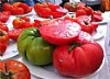 Tomates de la Huerta del Narcea