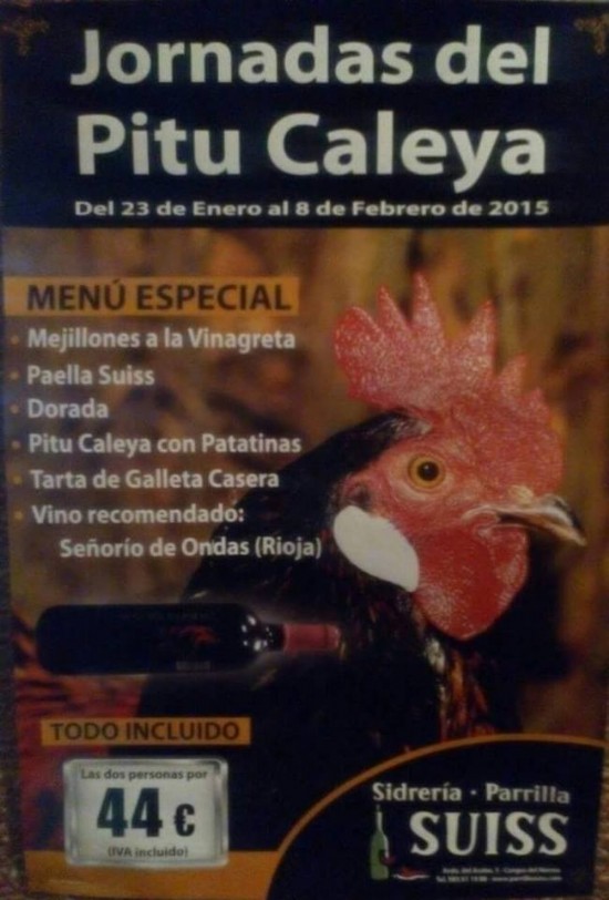 Cartel Jornadas pitu caleya