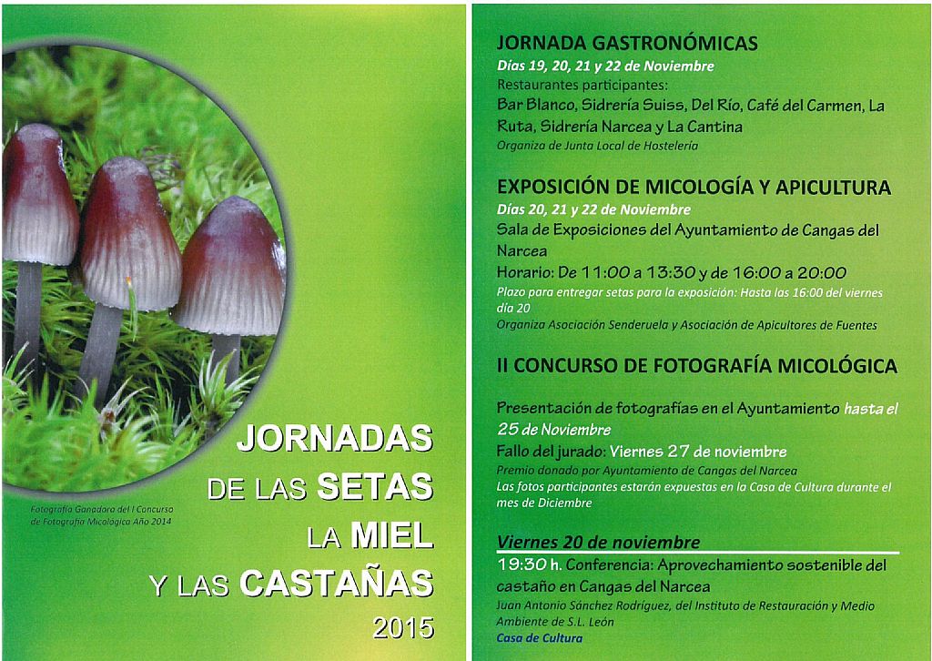Folleto 1 - Jornadas Setas, miel y castaas