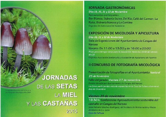 Folleto 1 - Jornadas Setas, miel y castaas