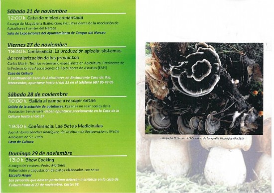 Folleto 2- Jornadas setas, miel y castaas