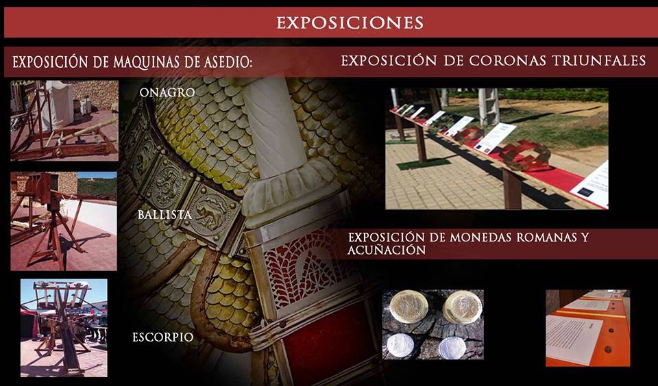 Mercado Romano_Exposiciones