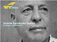 Vicente Fernndez Surez