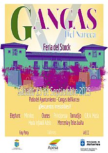 Cartel Feria del Stock Cangas 2025