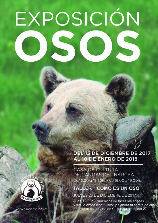 Cartel Exposici�n Osos 2017