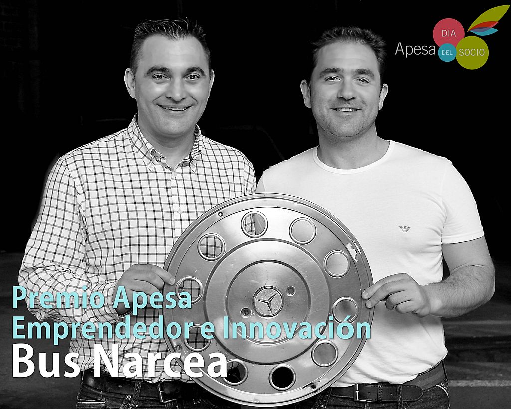 Bus Narcea