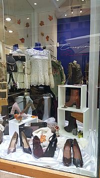 Escaparate 1