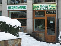 NEVADA DEL 2010