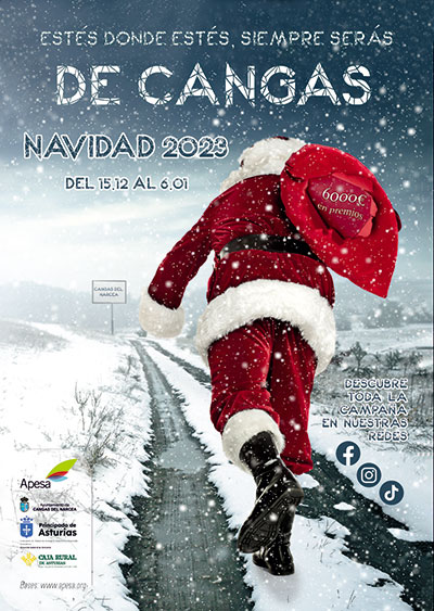 Campaña Navidad APESA 2022-2023