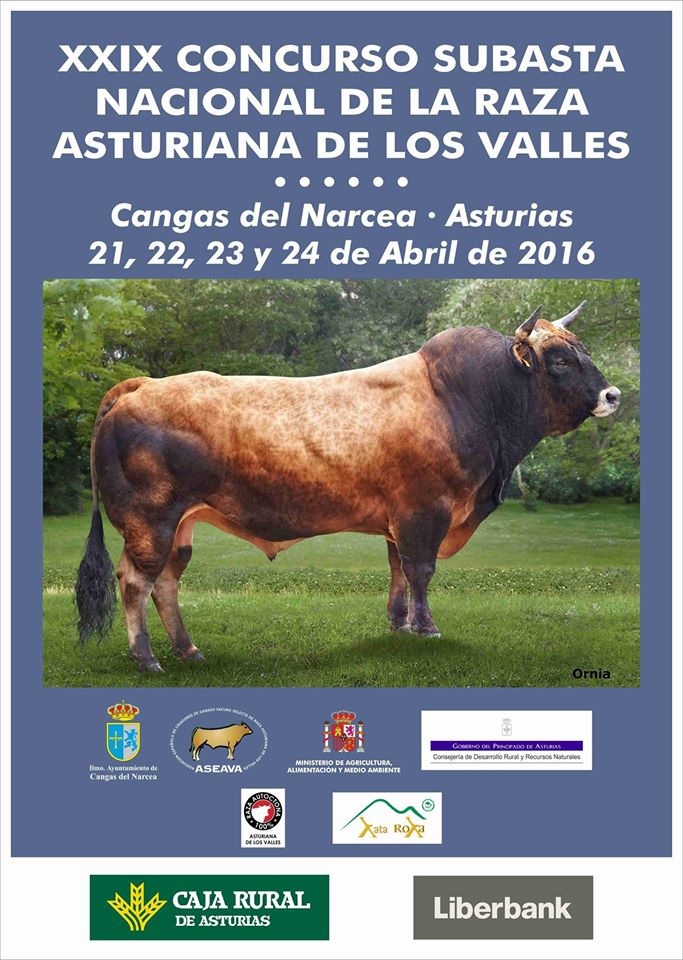 Concurso Subasta Asturiana de los Valles 2016