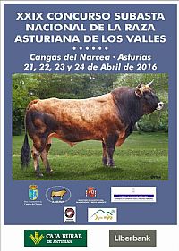 Concurso Subasta Asturiana de los Valles 2016