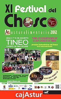Cartel identificativo XI Festival Chosco de Tineo
