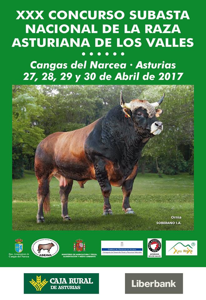 XXX Concurso Nacional Raza Asturiana de los Valles 2017