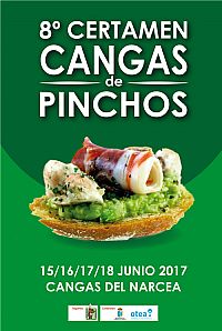 Cangas de Pinchos 2017